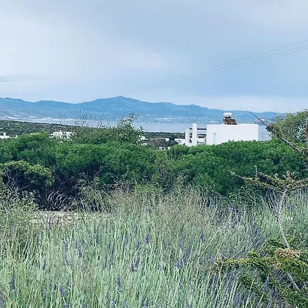Nena's House Santa Maria Paros 度假居 *